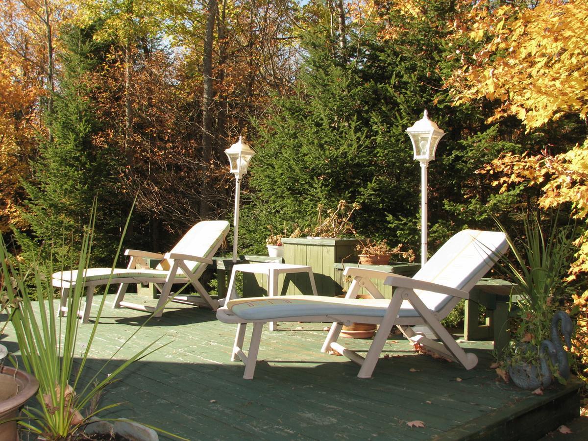 Arkadia Eastman B&B Buitenkant foto