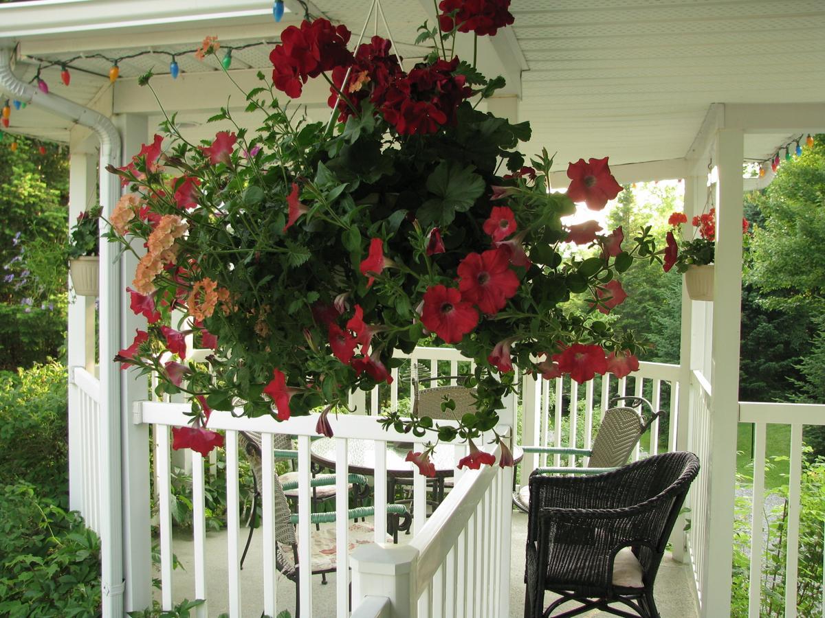 Arkadia Eastman B&B Buitenkant foto